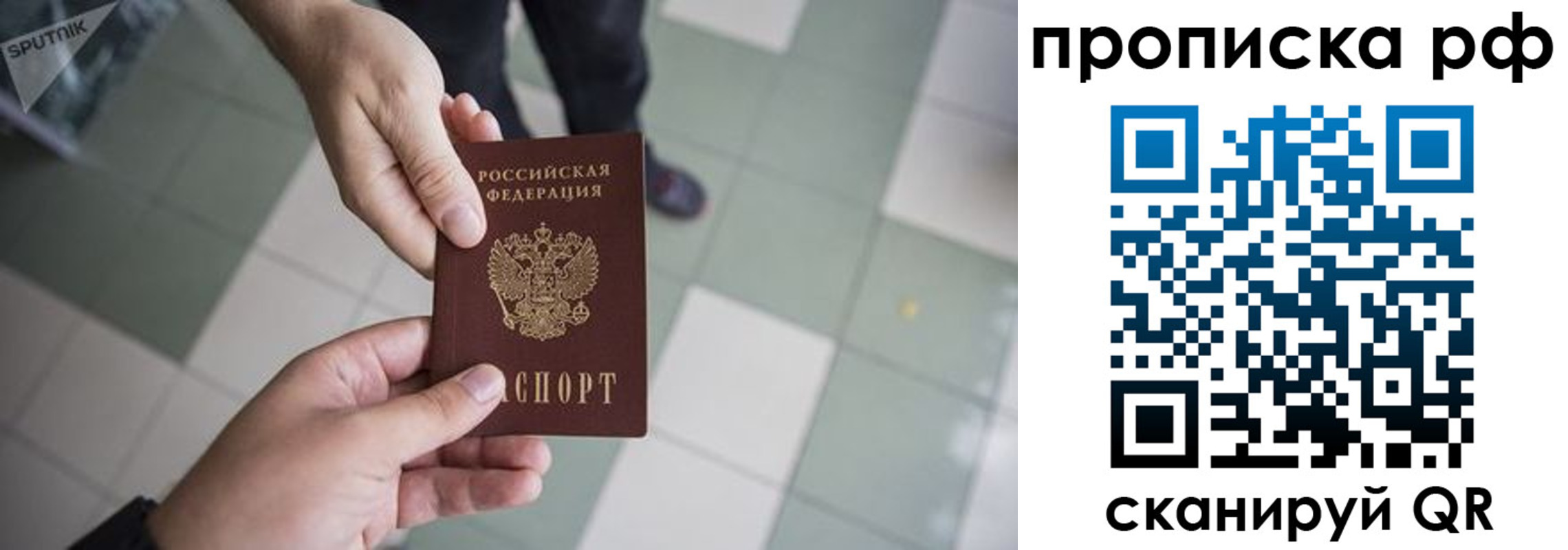 прописка гарантия в Вязьме